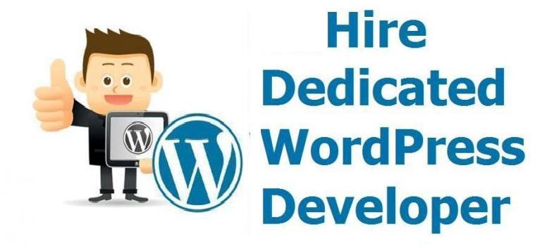 hire best wordpress developers India, hire indian wordpress developers