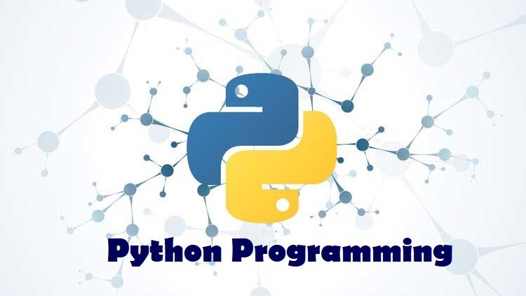 why-to-choose-python-developers-from-india